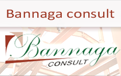 Click to Bannaga Consult
